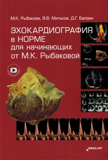 Эхокардиография в норме для начинающих